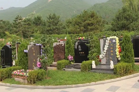 1670401330120062.png 下载 (7).png