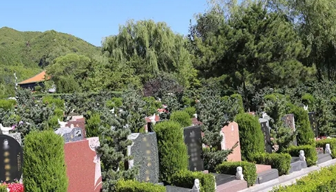 1670471736128742.png 下载 (2).png