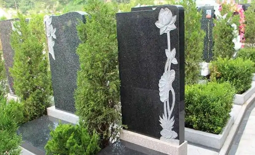 1670471828136372.png 下载 (5).png