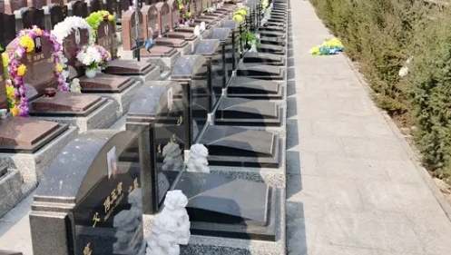1670815638786793.png 下载 (2).png