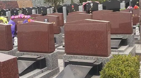 1670815701481783.png 下载 (4).png