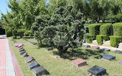 1670917881961803.png 下载 (4).png