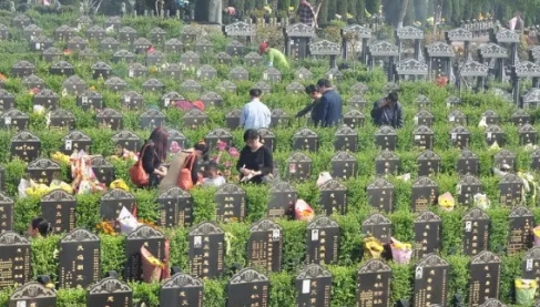 下载 (6).png