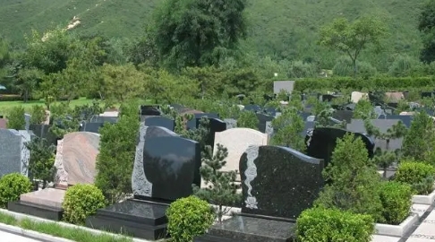 下载 (7).png