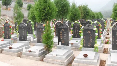 1671697288957069.png 下载 (4).png