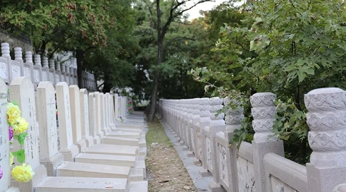 1671777539131040.png 下载 (1).png