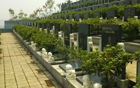1671777610390771.png 下载 (3).png