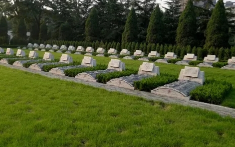 1671777710531184.png 下载 (8).png