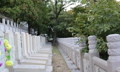 1673319315215718.png 下载 (1).png