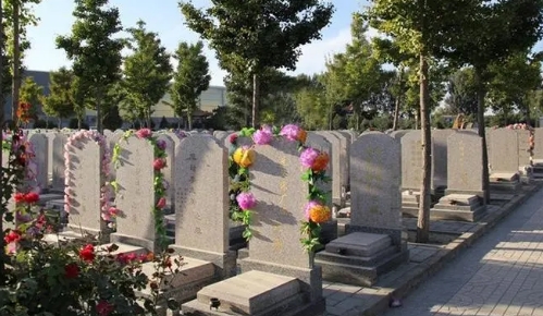 1673411395137185.png 下载 (4).png