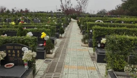 1673411505108242.png 下载 (8).png