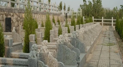 1673411525525848.png 下载 (9).png