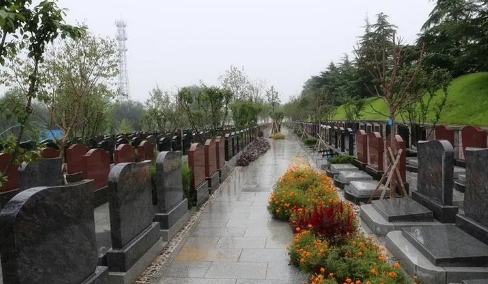 1675914086713897.png 下载 (5).png